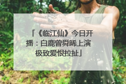 《临江仙》今日开播：白鹿曾舜晞上演极致爱恨拉扯