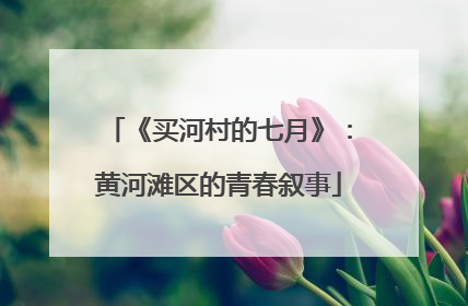 《买河村的七月》：黄河滩区的青春叙事