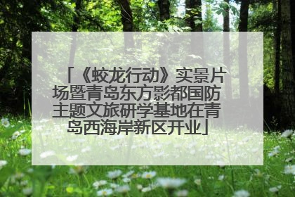 《蛟龙行动》实景片场暨青岛东方影都国防主题文旅研学基地在青岛西海岸新区开业