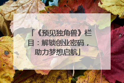 《预见独角兽》栏目：解锁创业密码，助力梦想启航