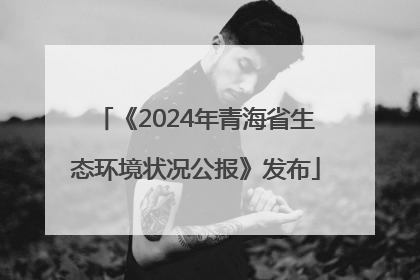 《2024年青海省生态环境状况公报》发布