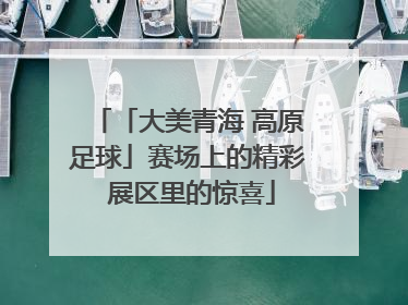 「大美青海 高原足球」赛场上的精彩 展区里的惊喜