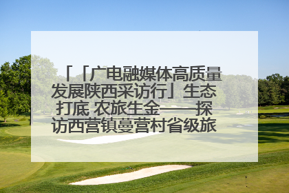 「广电融媒体高质量发展陕西采访行」生态打底 农旅生金——探访西营镇蔓营村省级旅游示范村的振兴密码