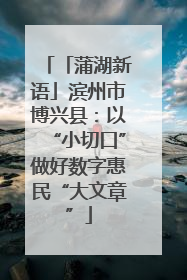「蒲湖新语」滨州市博兴县：以“小切口”做好数字惠民“大文章”
