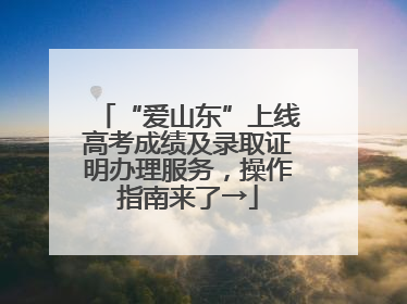 “爱山东”上线高考成绩及录取证明办理服务，操作指南来了→
