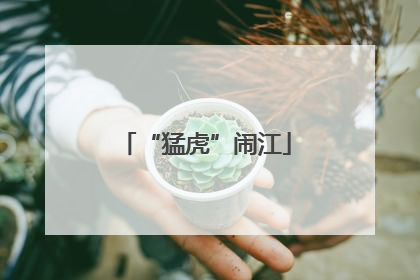 “猛虎”闹江