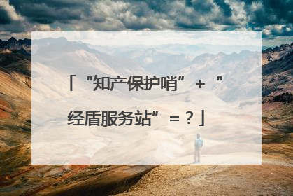 “知产保护哨”+“经盾服务站”=？