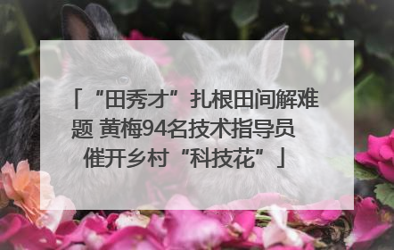 “田秀才”扎根田间解难题 黄梅94名技术指导员催开乡村“科技花”