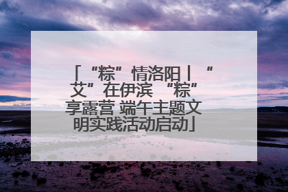 “粽”情洛阳丨“艾”在伊滨 “粽”享露营 端午主题文明实践活动启动