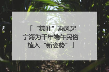“粽叶”乘风起 宁海为千年端午民俗植入“新姿势”