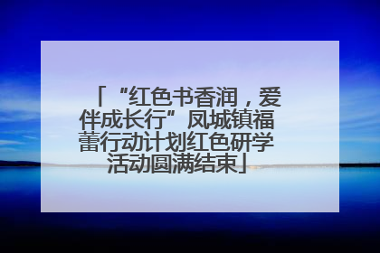 “红色书香润，爱伴成长行”凤城镇福蕾行动计划红色研学活动圆满结束