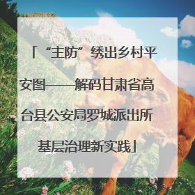 “主防”绣出乡村平安图——解码甘肃省高台县公安局罗城派出所基层治理新实践