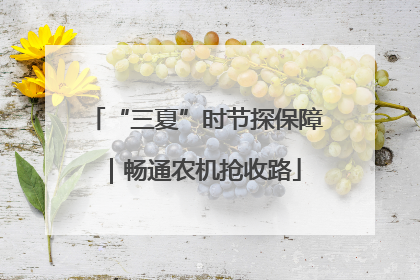 “三夏”时节探保障｜畅通农机抢收路