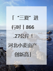 “三夏”进行时丨866.27公斤！河北小麦亩产创新高
