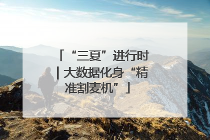 “三夏”进行时｜大数据化身“精准割麦机”