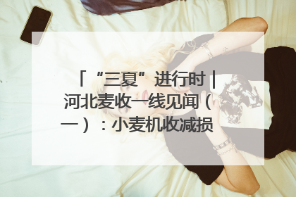 “三夏”进行时｜河北麦收一线见闻（一）：小麦机收减损“竞技” 农机高手麦田“过招”