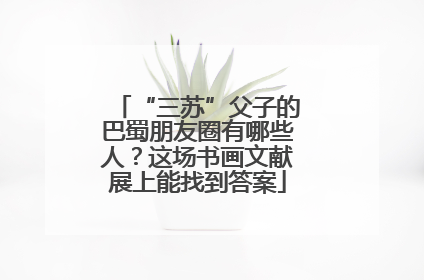 “三苏”父子的巴蜀朋友圈有哪些人？这场书画文献展上能找到答案