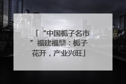 “中国栀子名市”福建福鼎：栀子花开，产业兴旺