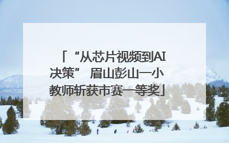 “从芯片视频到AI决策” 眉山彭山一小教师斩获市赛一等奖