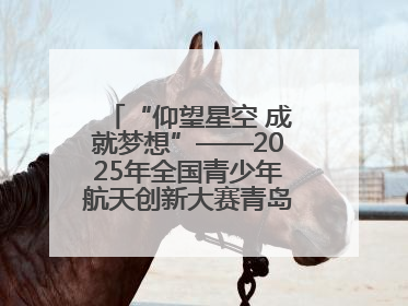“仰望星空 成就梦想”——2025年全国青少年航天创新大赛青岛选拔赛成功举办
