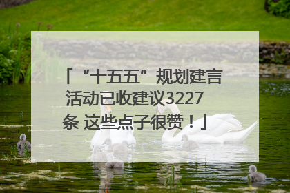 “十五五”规划建言活动已收建议3227条 这些点子很赞！