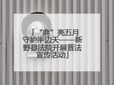 “典”亮五月 守护半边天——新野县法院开展普法宣传活动