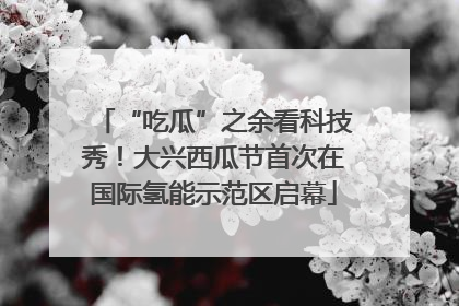 “吃瓜”之余看科技秀！大兴西瓜节首次在国际氢能示范区启幕