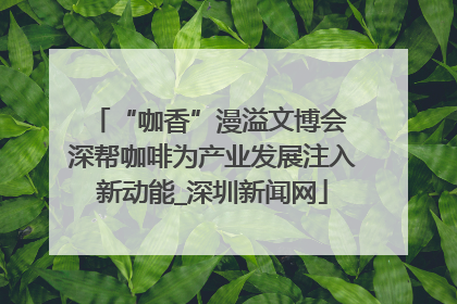 “咖香”漫溢文博会 深帮咖啡为产业发展注入新动能_深圳新闻网
