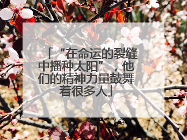 “在命运的裂缝中播种太阳”，他们的精神力量鼓舞着很多人