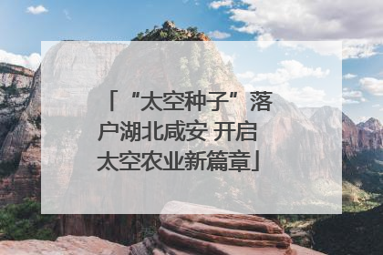 “太空种子”落户湖北咸安 开启太空农业新篇章