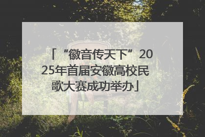 “徽音传天下”2025年首届安徽高校民歌大赛成功举办