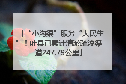 “小沟渠”服务“大民生”！叶县已累计清淤疏浚渠道247.79公里
