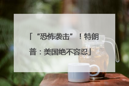 “恐怖袭击”！特朗普：美国绝不容忍