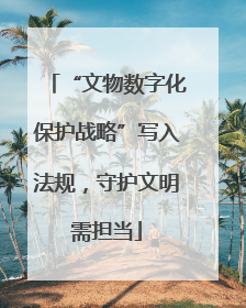 “文物数字化保护战略”写入法规，守护文明需担当