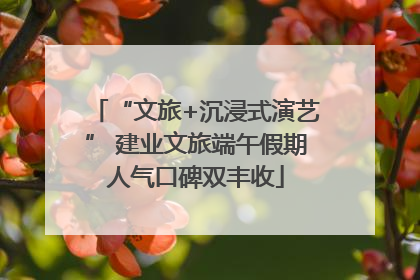 “文旅+沉浸式演艺” 建业文旅端午假期人气口碑双丰收