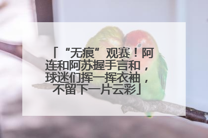 “无痕”观赛！阿连和阿苏握手言和，球迷们挥一挥衣袖，不留下一片云彩