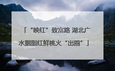 “映红”致富路 湖北广水胭脂红鲜桃火“出圈”