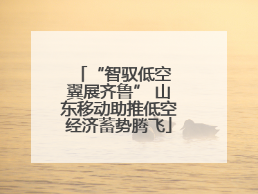 “智驭低空 翼展齐鲁” 山东移动助推低空经济蓄势腾飞