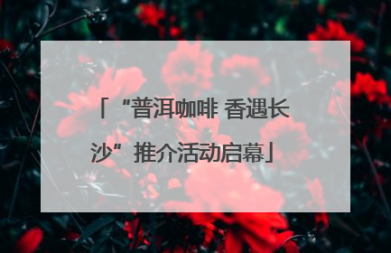 “普洱咖啡 香遇长沙”推介活动启幕