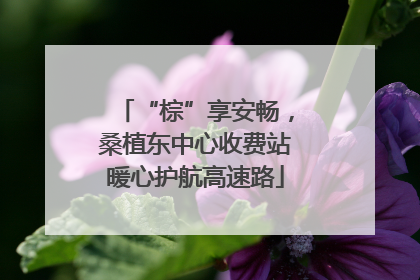 “棕”享安畅，桑植东中心收费站暖心护航高速路