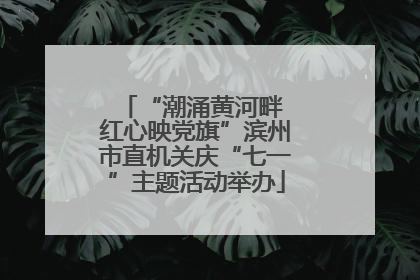 “潮涌黄河畔 红心映党旗”滨州市直机关庆“七一”主题活动举办
