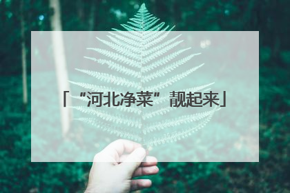 “河北净菜”靓起来