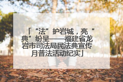 “法”护岩城，亮“典”纷呈——福建省龙岩市司法局民法典宣传月普法活动纪实