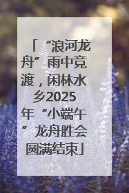 “浪河龙舟”雨中竞渡，闲林水乡2025年“小端午”龙舟胜会圆满结束