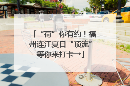 “荷”你有约！福州连江夏日“顶流”等你来打卡→