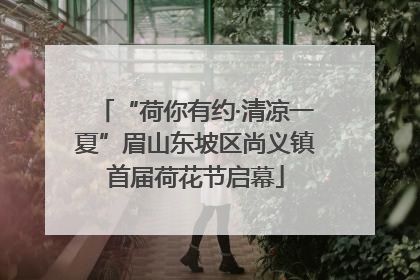 “荷你有约·清凉一夏”眉山东坡区尚义镇首届荷花节启幕