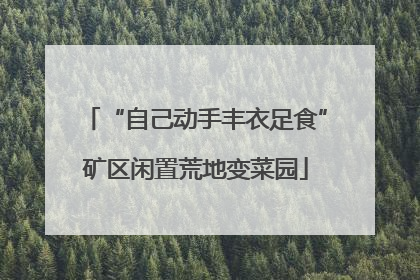 “自己动手丰衣足食”矿区闲置荒地变菜园
