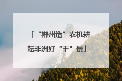 “郴州造”农机耕耘非洲好“丰”景
