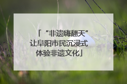 “非遗嗨翻天”让阜阳市民沉浸式体验非遗文化