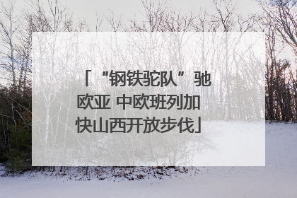“钢铁驼队”驰欧亚 中欧班列加快山西开放步伐